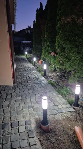 Grădină luminată seara